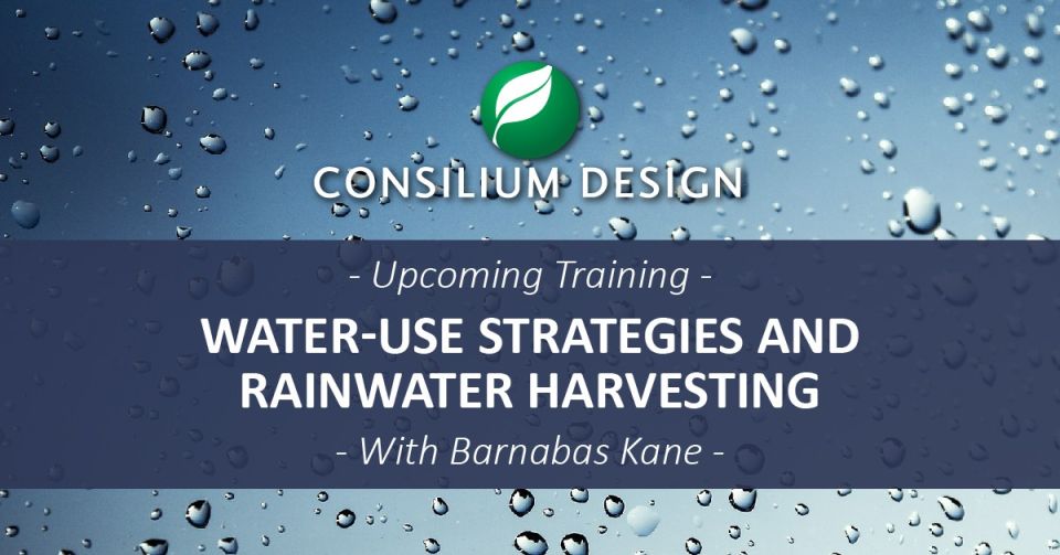 Water use strategies and rainwater harvesting