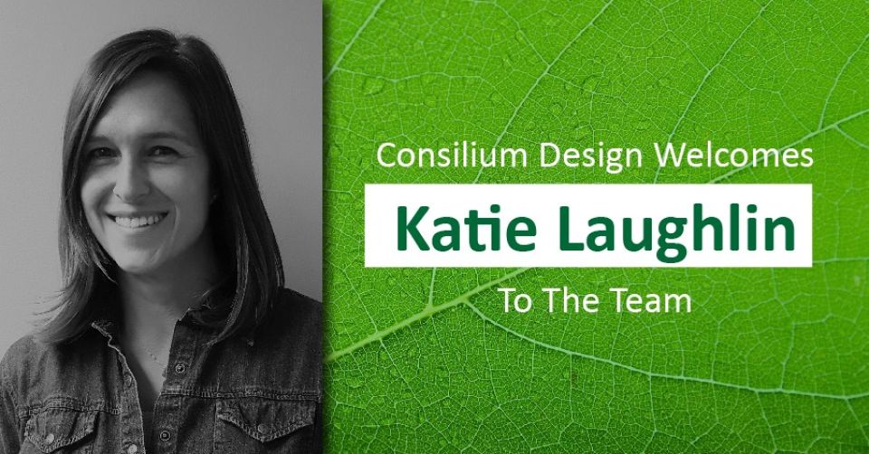 Consilium Design welcomes Katie Laughlin